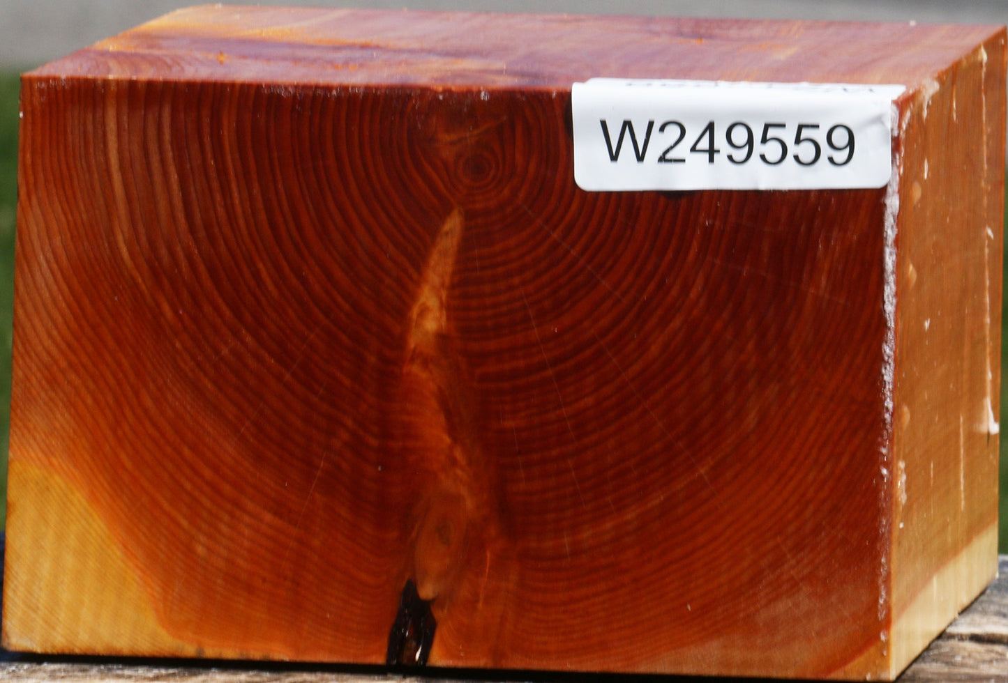 Juniper Bowl Blank
