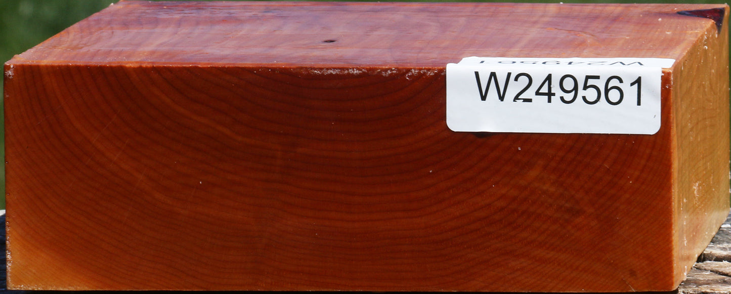 Juniper Bowl Blank