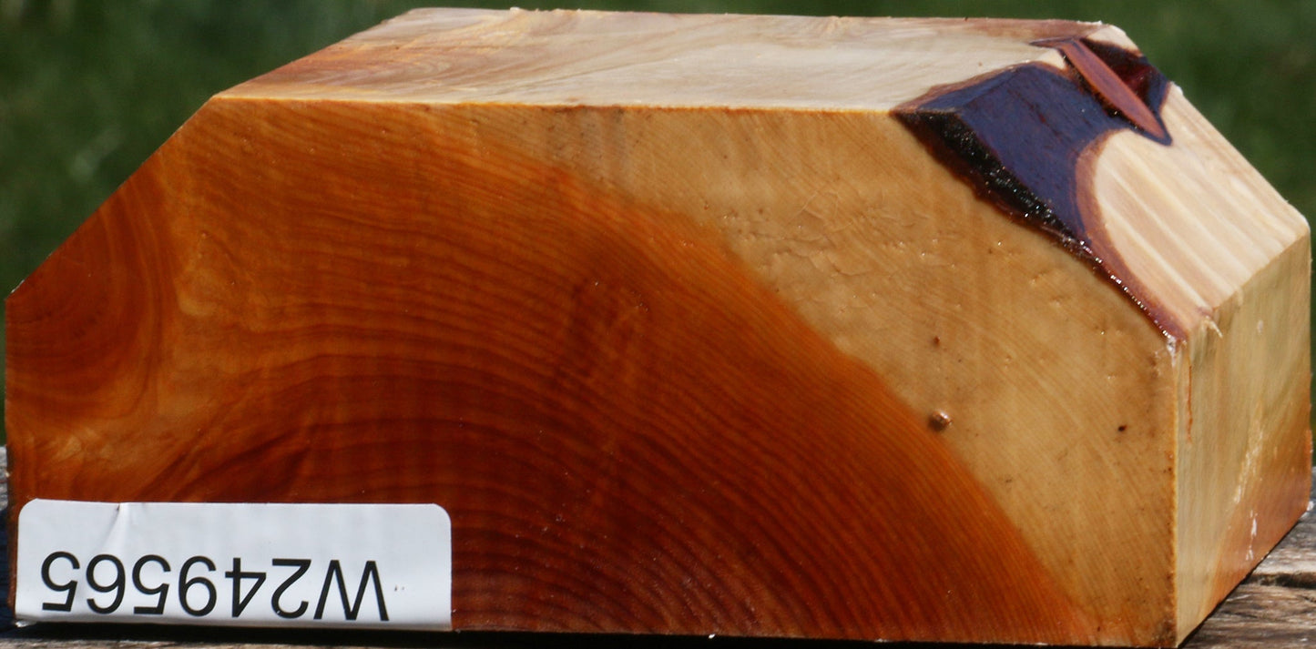 Juniper Bowl Blank