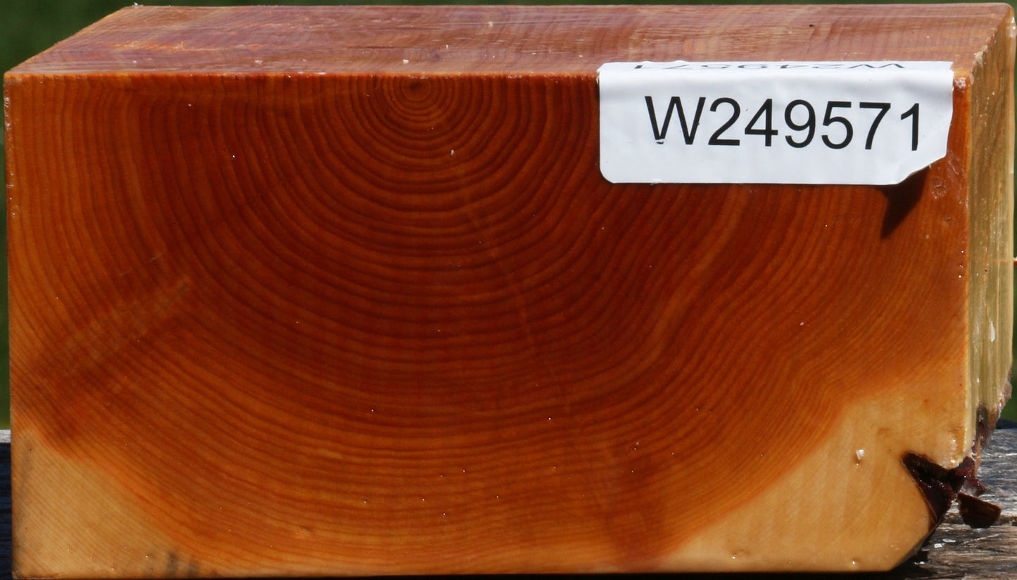 Juniper Bowl Blank