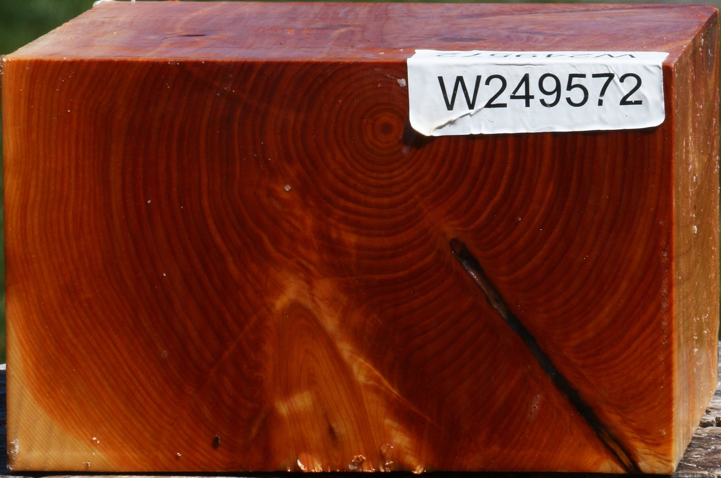 Juniper Bowl Blank