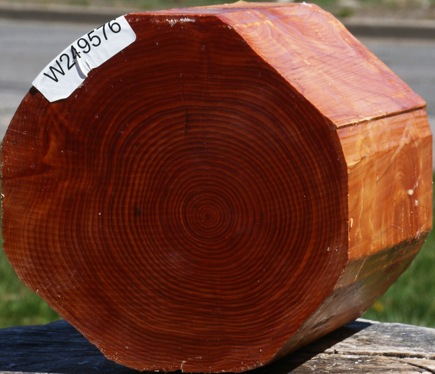 Juniper Log