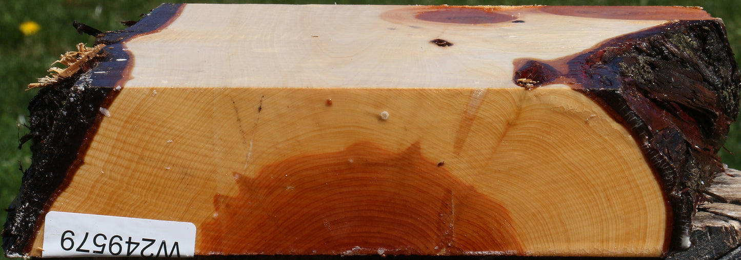Juniper Live Edge Platter Blank