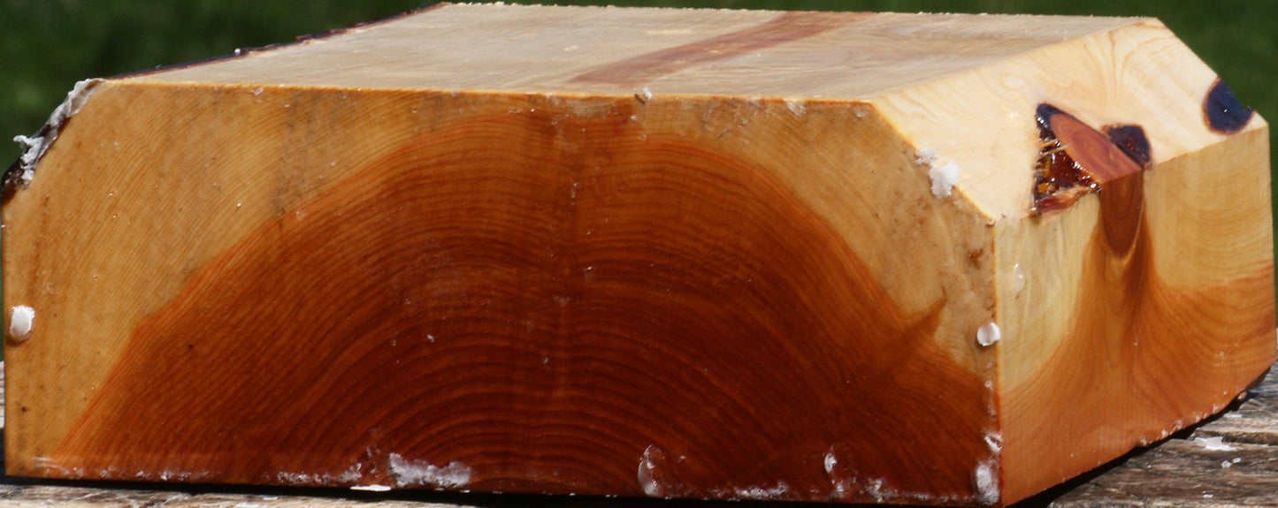 Juniper Bowl Blank