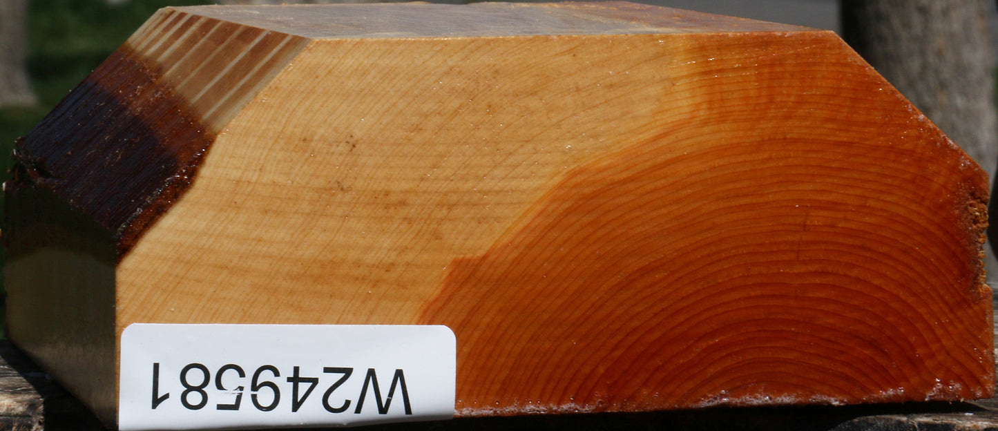 Juniper Bowl Blank