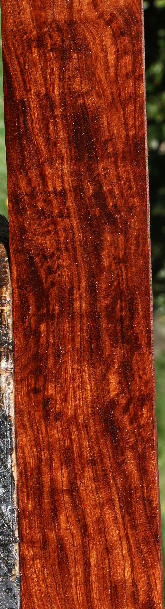 Extra Fancy Bubinga Micro Lumber