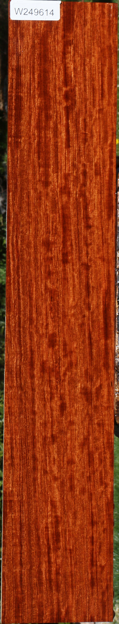 Figured Quartersawn Bubinga Micro Lumber