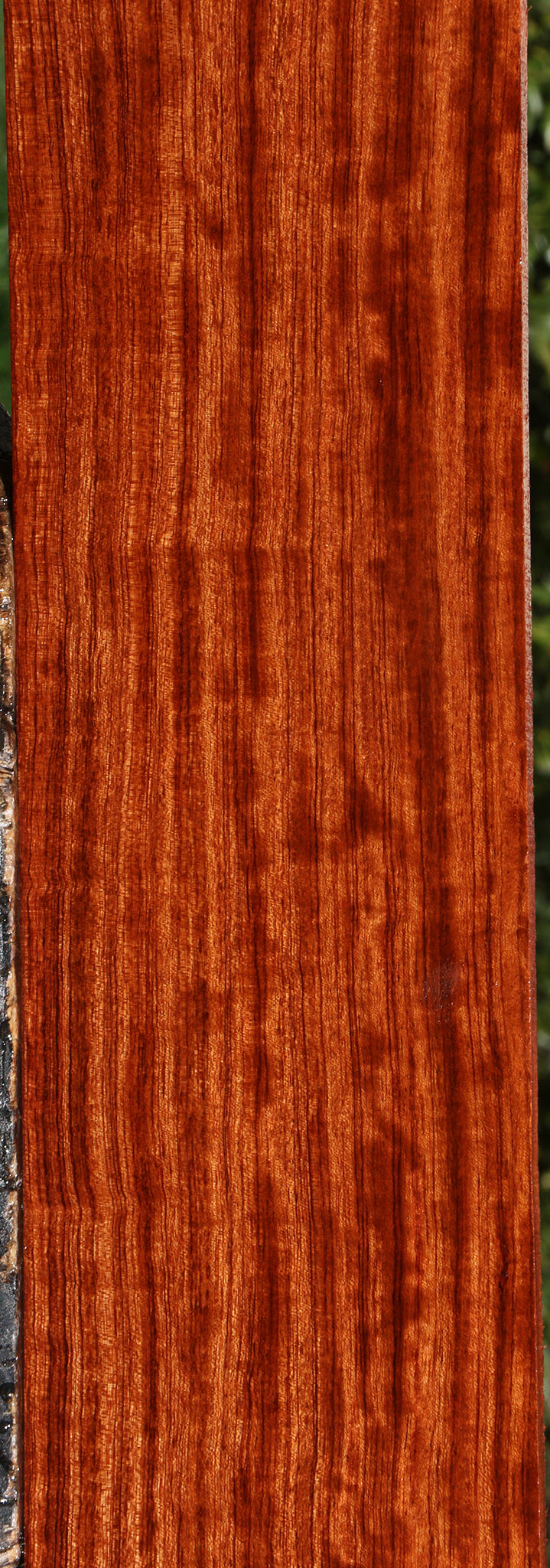 Figured Quartersawn Bubinga Micro Lumber