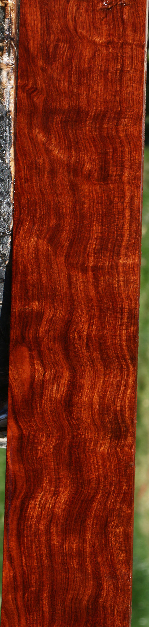 Extra Fancy Bubinga Micro Lumber
