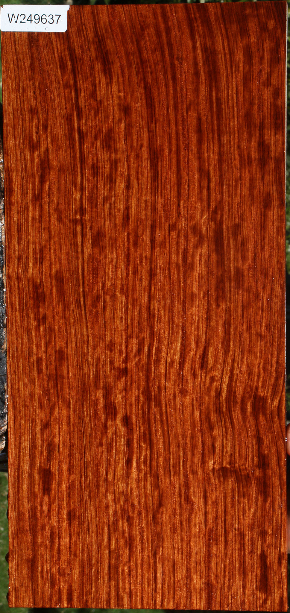 Extra Fancy Quartersawn Bubinga Instrument Lumber