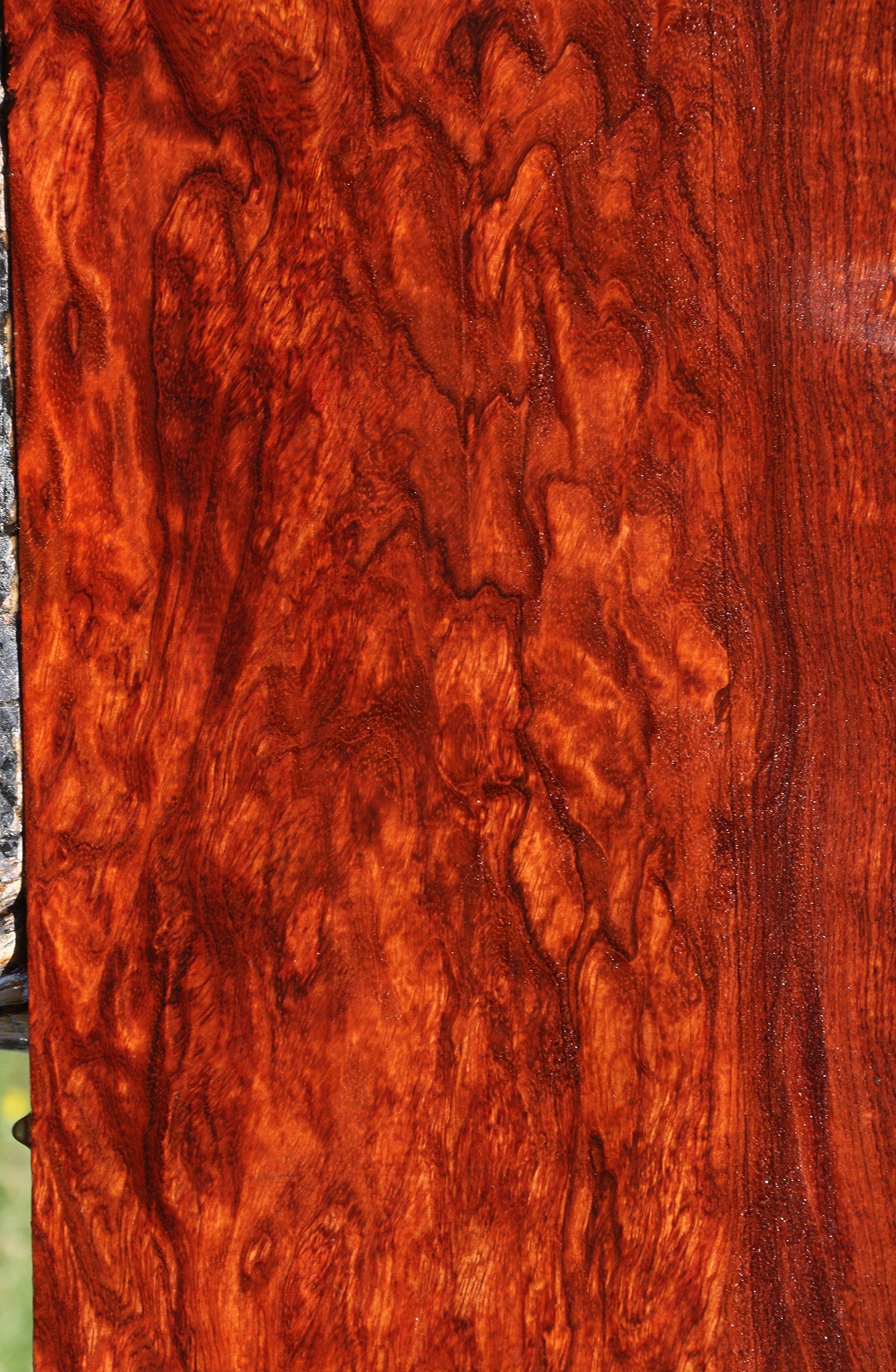 Exhibition Bubinga Instrument Lumber