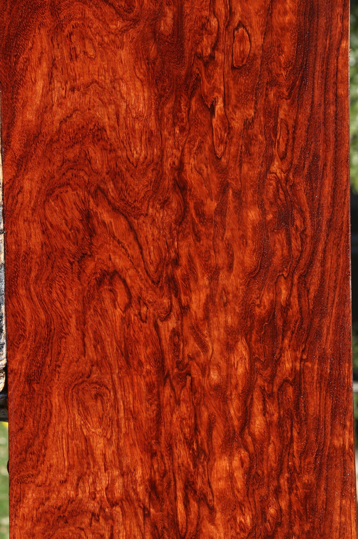 Exhibition Bubinga Instrument Lumber