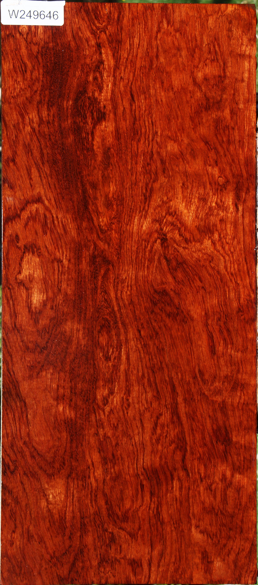 Extra Fancy Bubinga Lumber