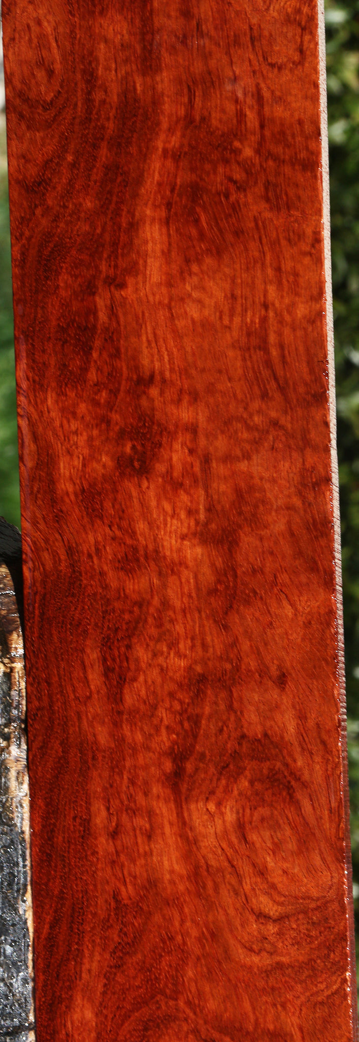 Extra Fancy Bubinga Lumber