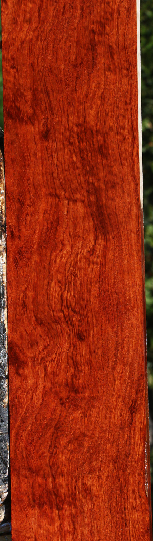 Extra Fancy Bubinga Lumber