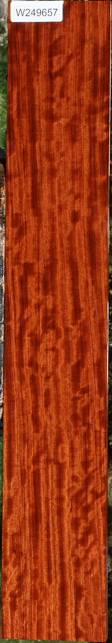 Extra Fancy Quartersawn Bubinga Lumber