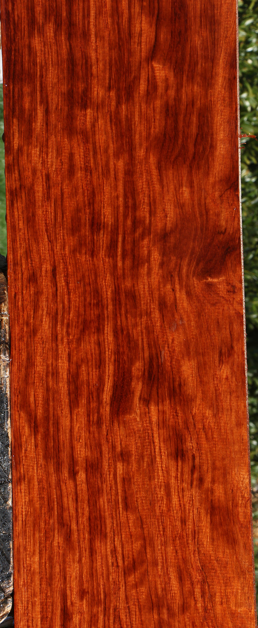 Extra Fancy Bubinga Lumber