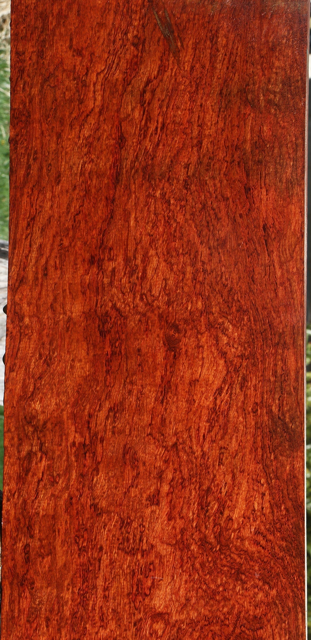 Exhibition Bubinga Lumber