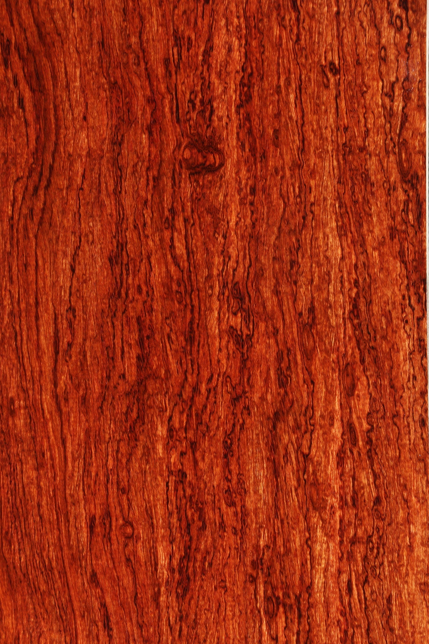 Exhibition Bubinga Instrument Lumber