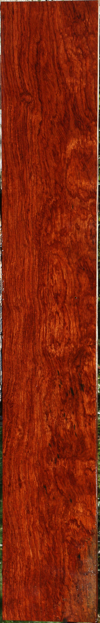 Extra Fancy Bubinga Lumber