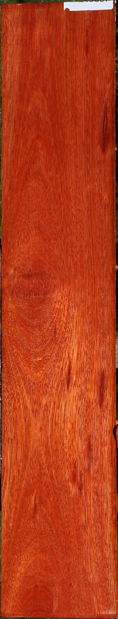 Bloodwood Micro Lumber