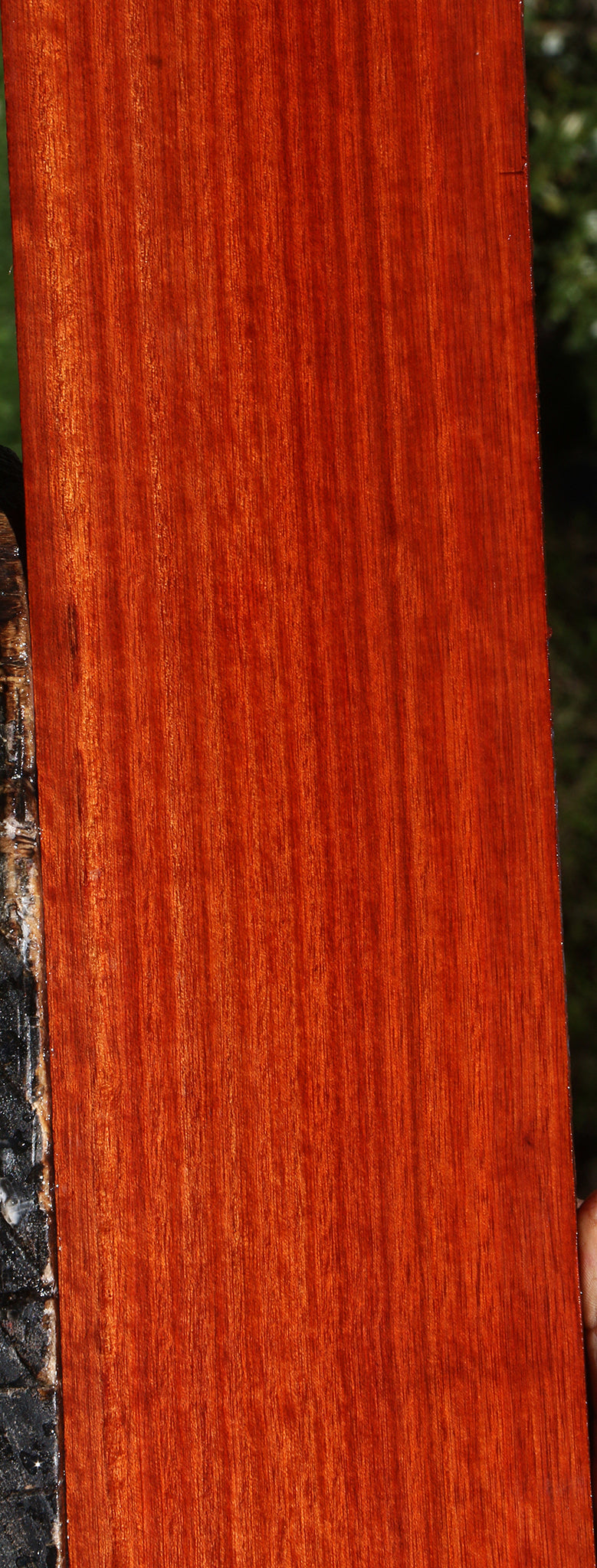 Quartersawn Bloodwood Micro Lumber