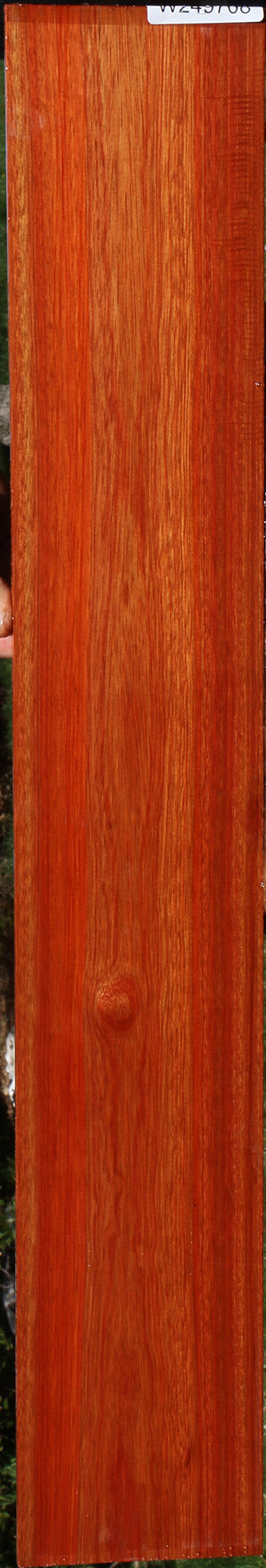 Bloodwood Micro Lumber