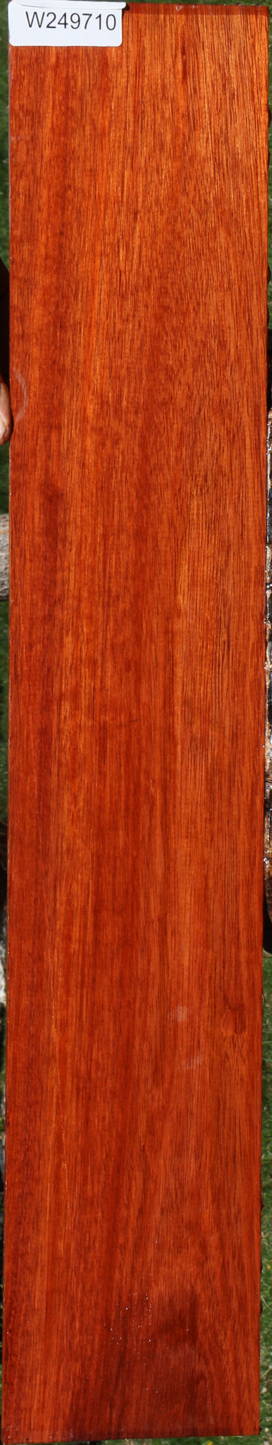 Bloodwood Micro Lumber