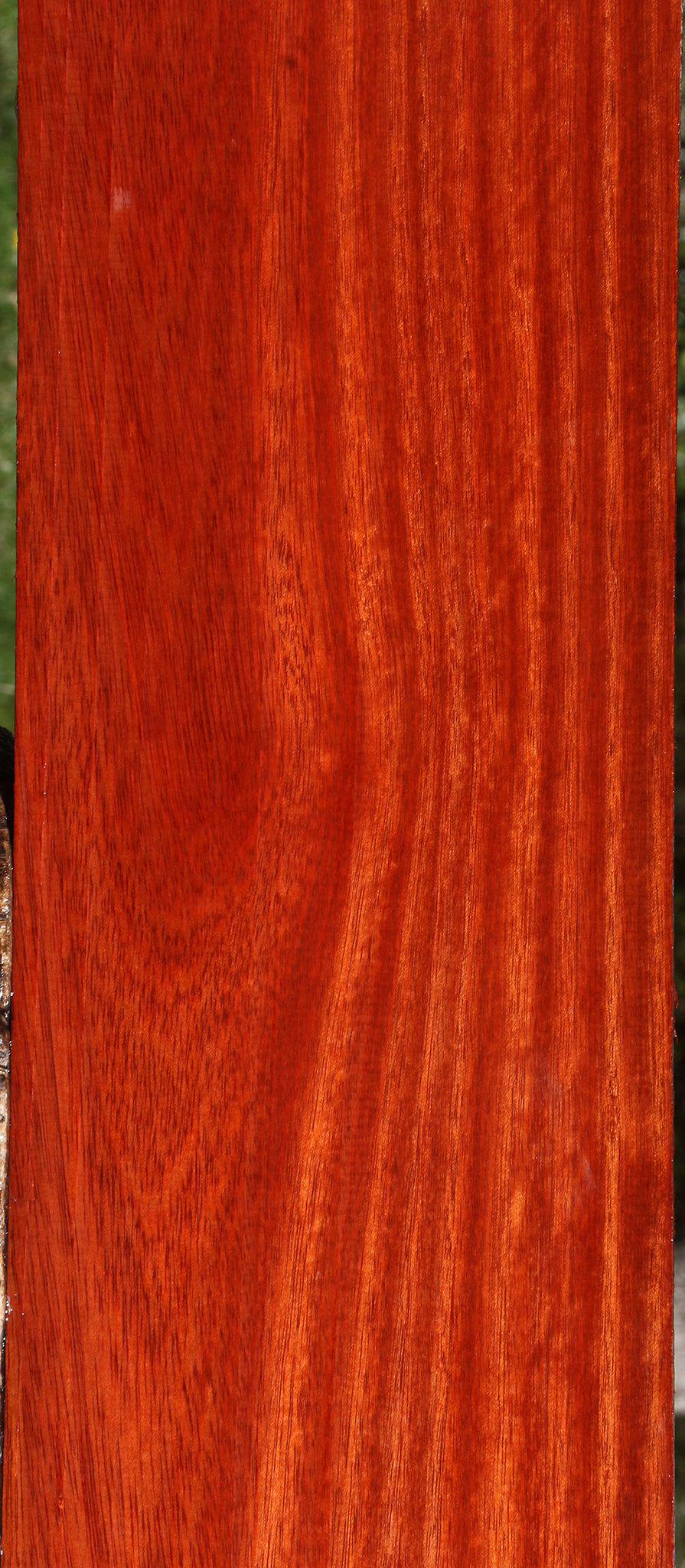 Figured Bloodwood Lumber