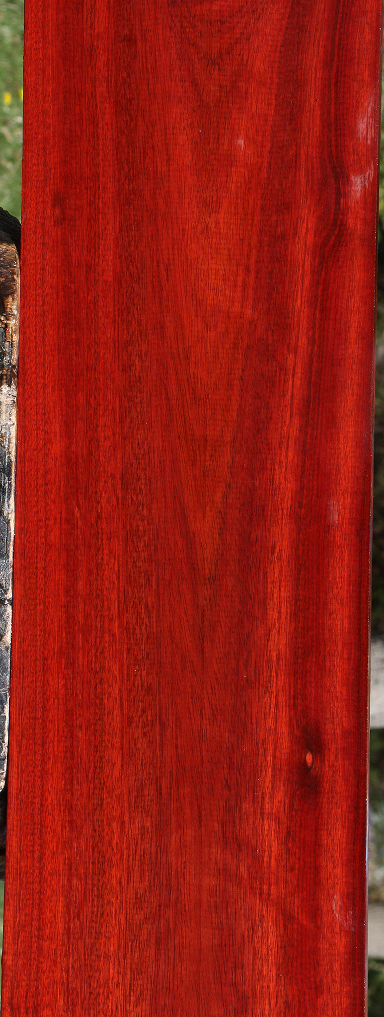 Bloodwood Lumber
