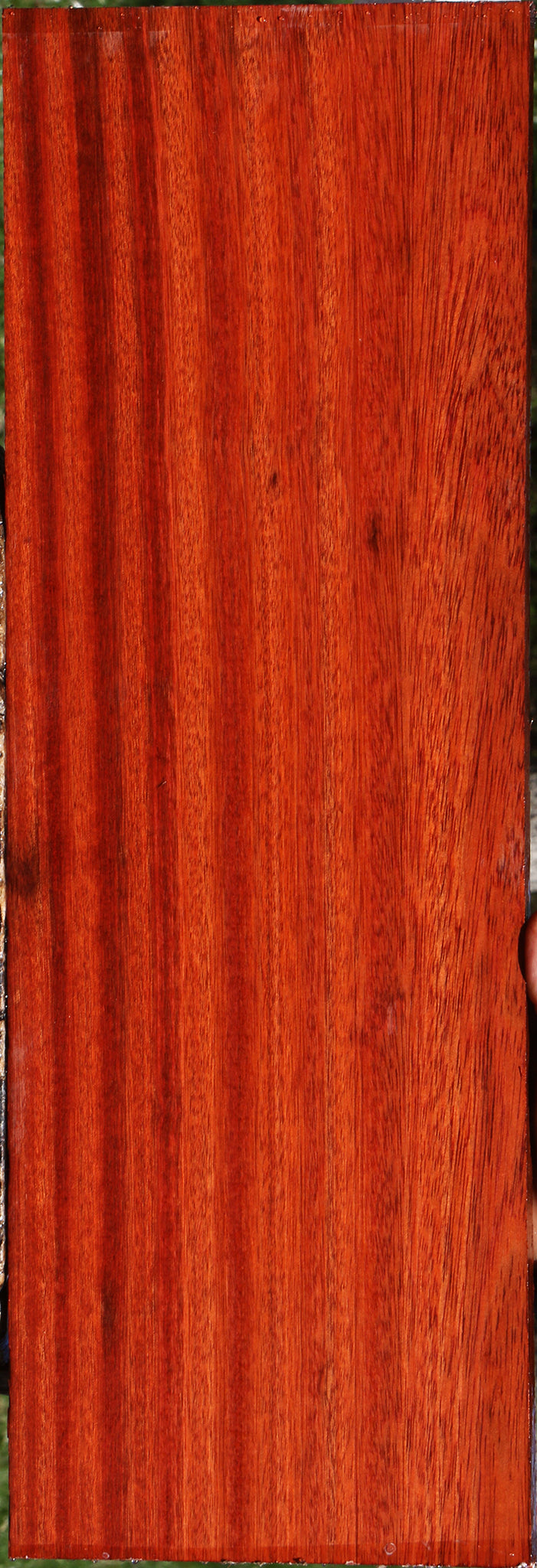 Figured Bloodwood Lumber