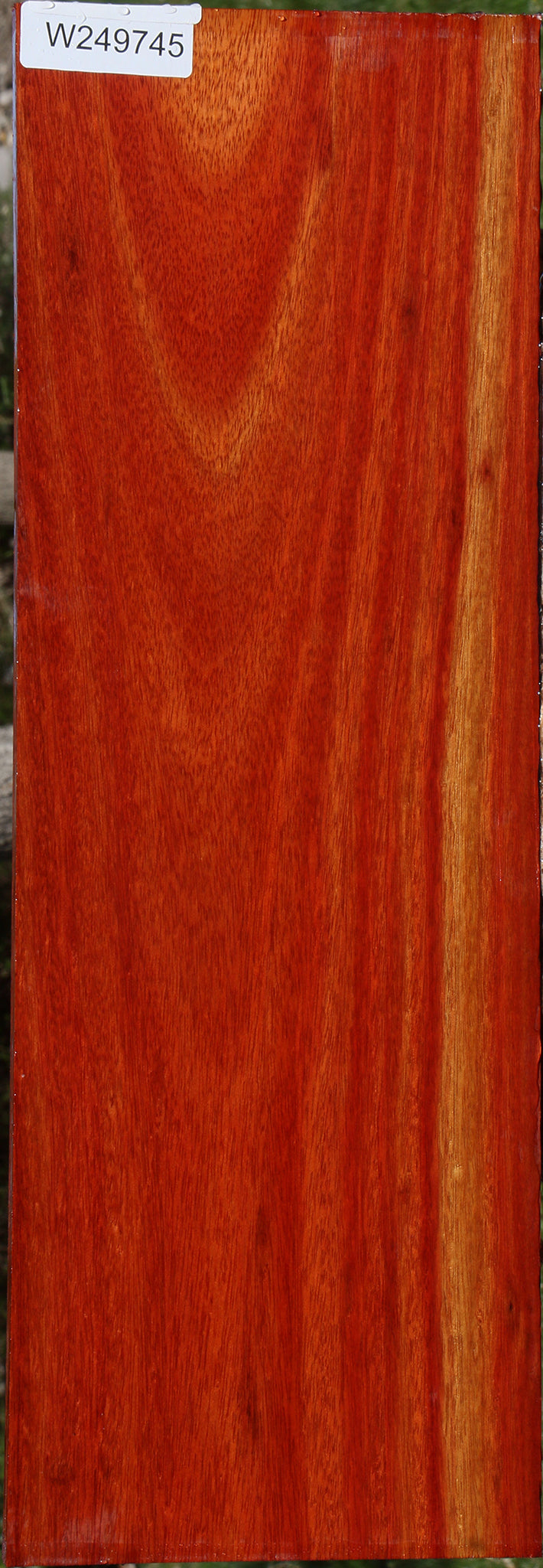 Bloodwood Lumber