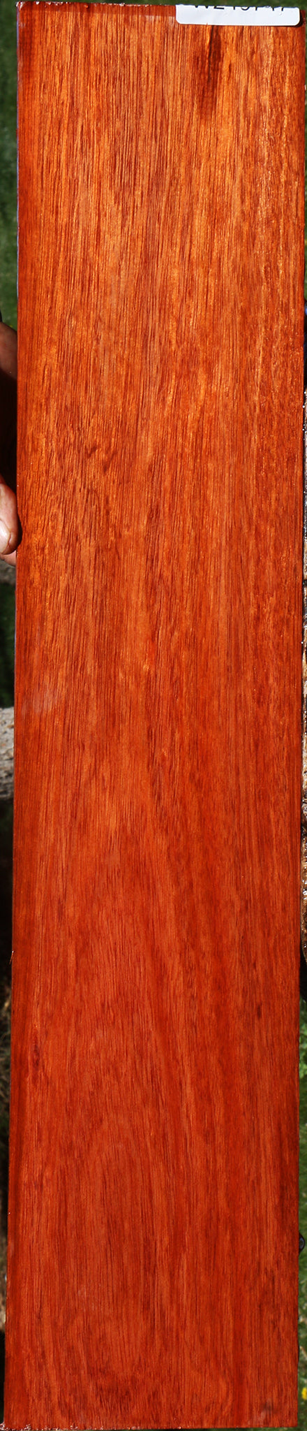Figured Bloodwood Micro Lumber