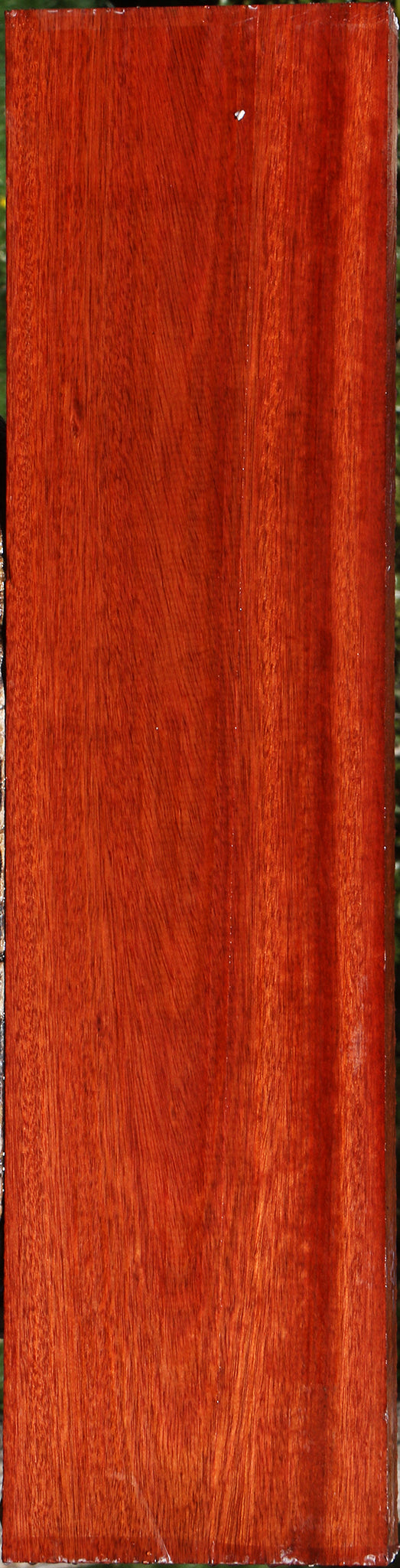 Figured Bloodwood Lumber