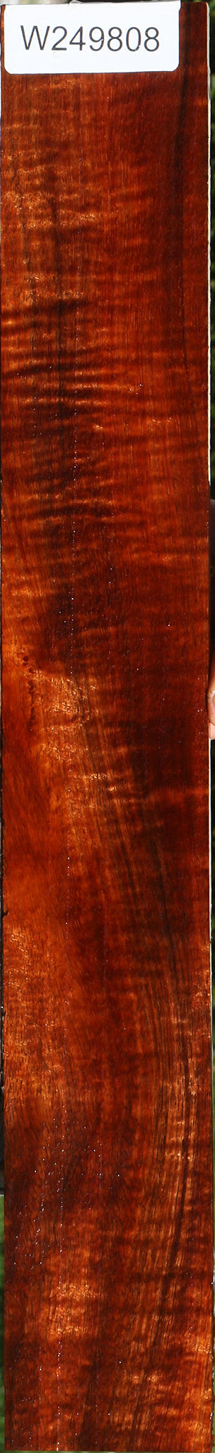 Extra Fancy Hawaiian Koa Micro Lumber
