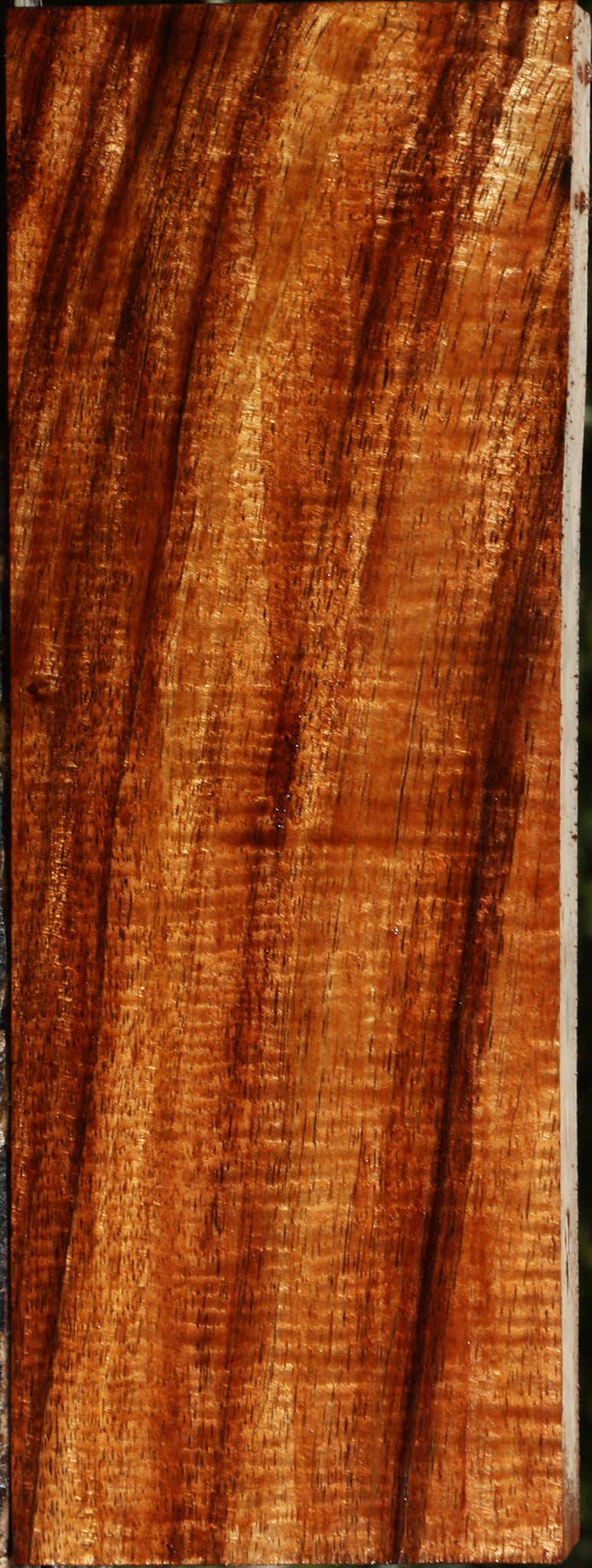 Exhibition Hawaiian Koa Lumber