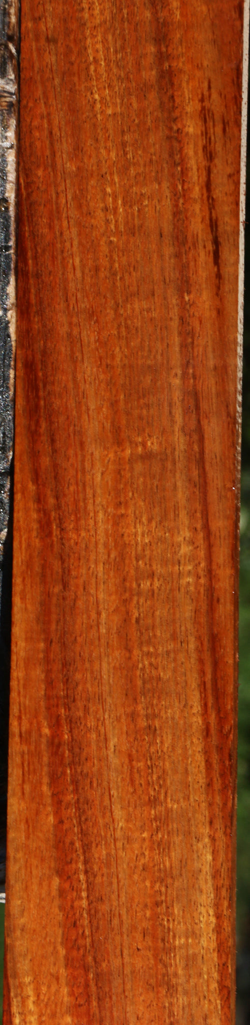 Figured Hawaiian Koa Micro Lumber