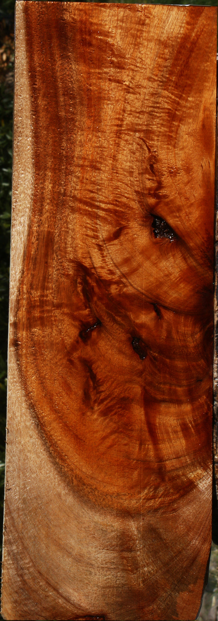 Extra Fancy Crotchwood Hawaiian Koa Lumber