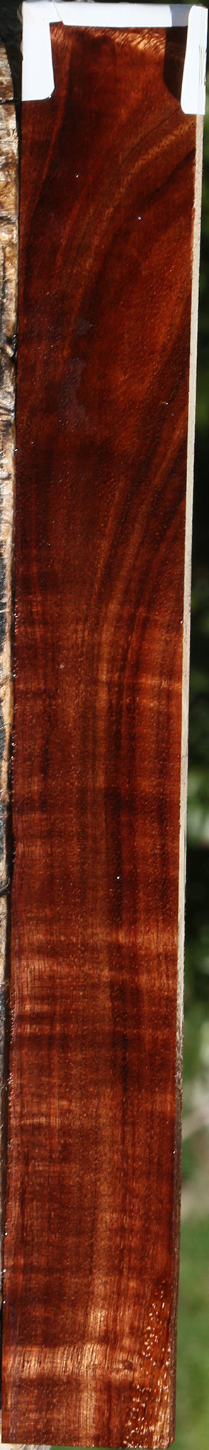 Extra Fancy Hawaiian Koa Micro Lumber