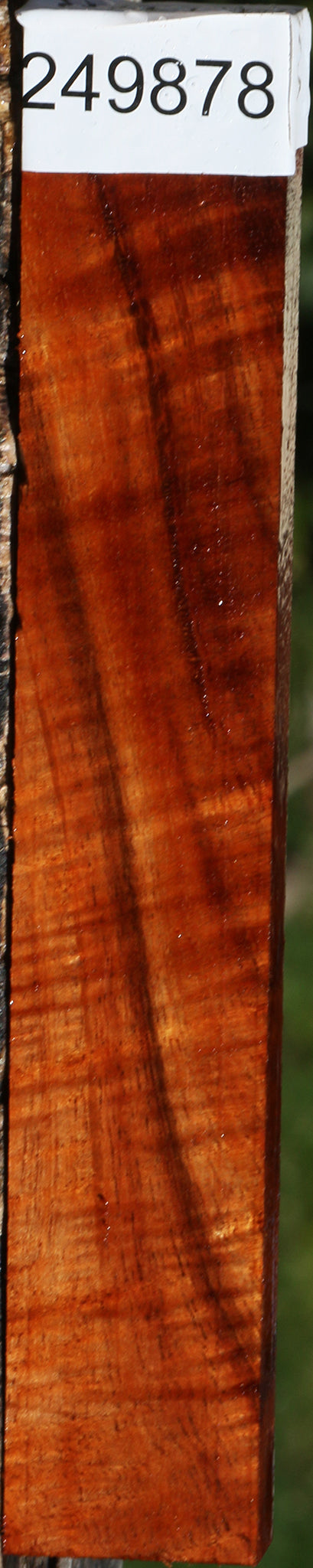 Extra Fancy Hawaiian Koa Lumber