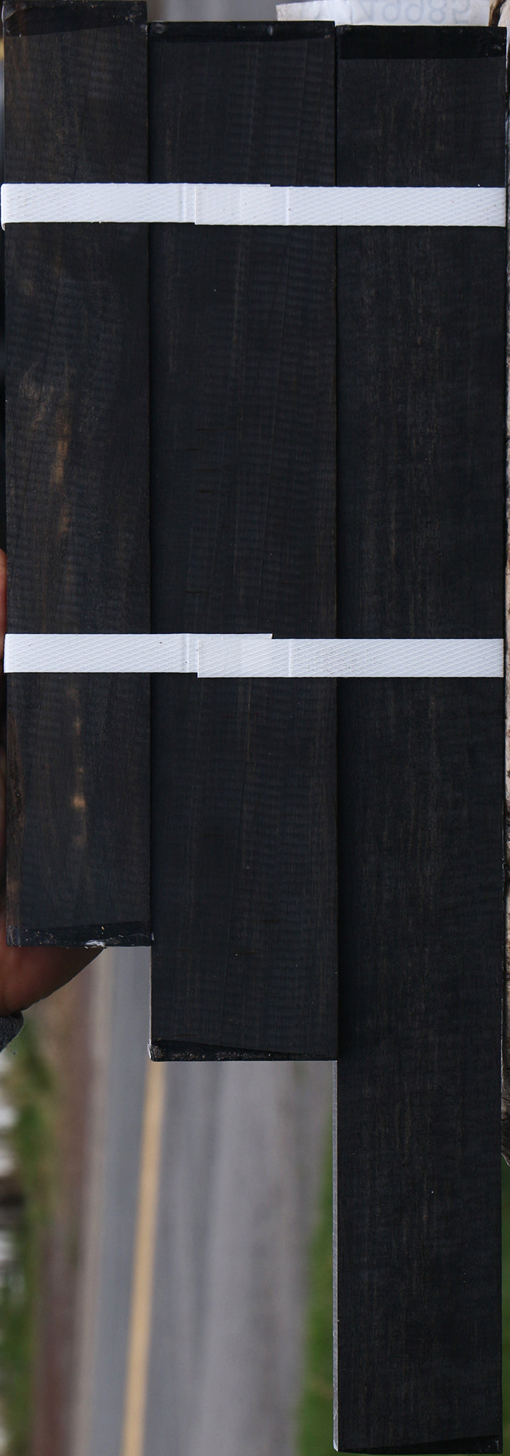 Gabon Ebony Micro Lumber 3 Pack