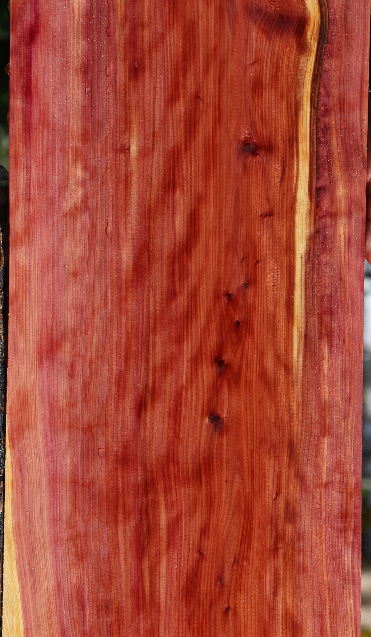 Extra Fancy Eastern Red Cedar Lumber
