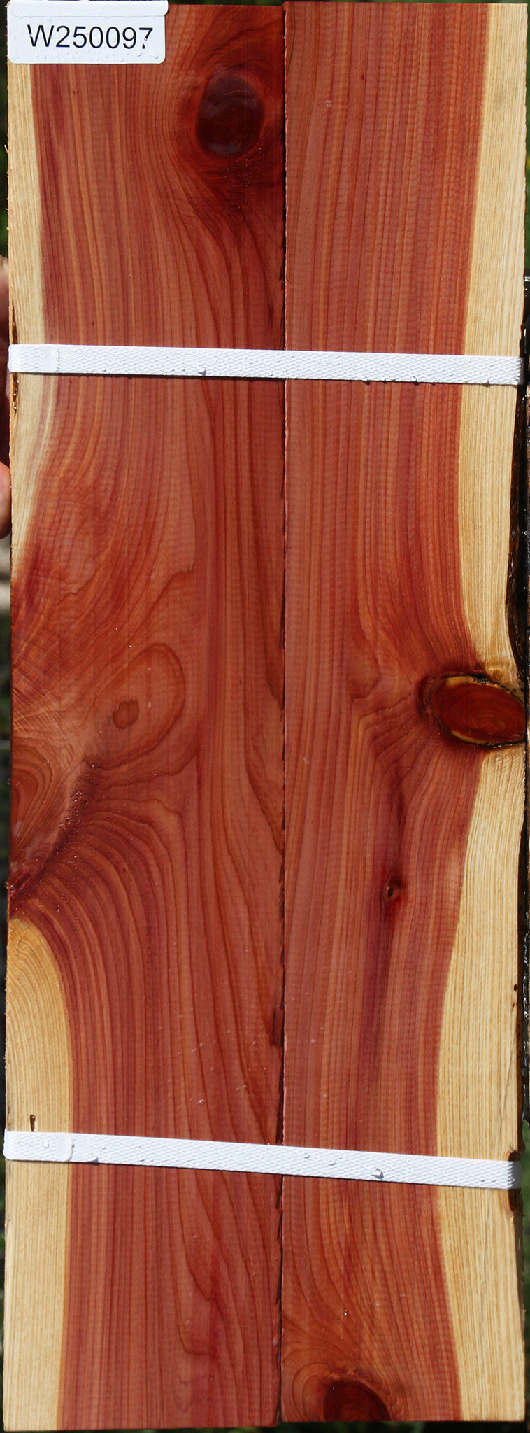 Eastern Red Cedar Lumber 2 Pack