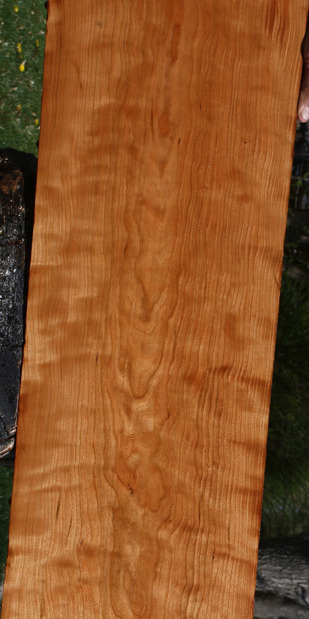 Figured Curly Cherry Lumber