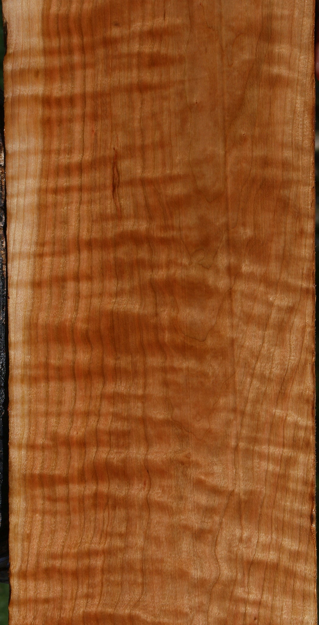Extra Fancy Curly Cherry Lumber