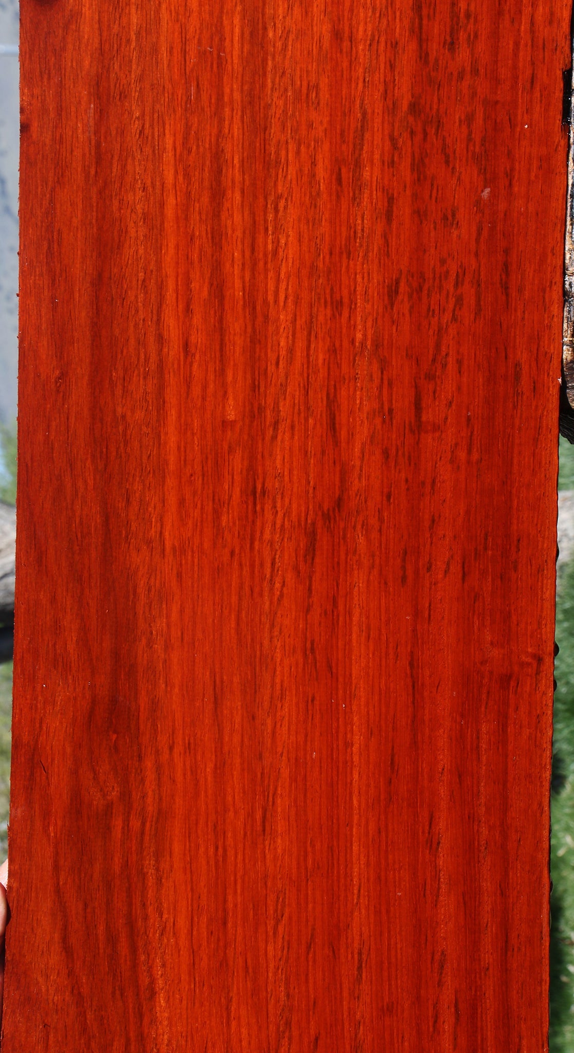 Figured Padauk Lumber
