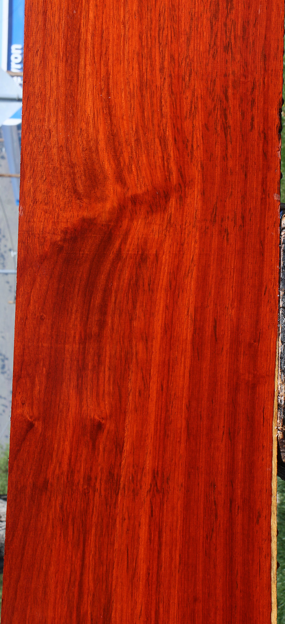Figured Padauk Lumber