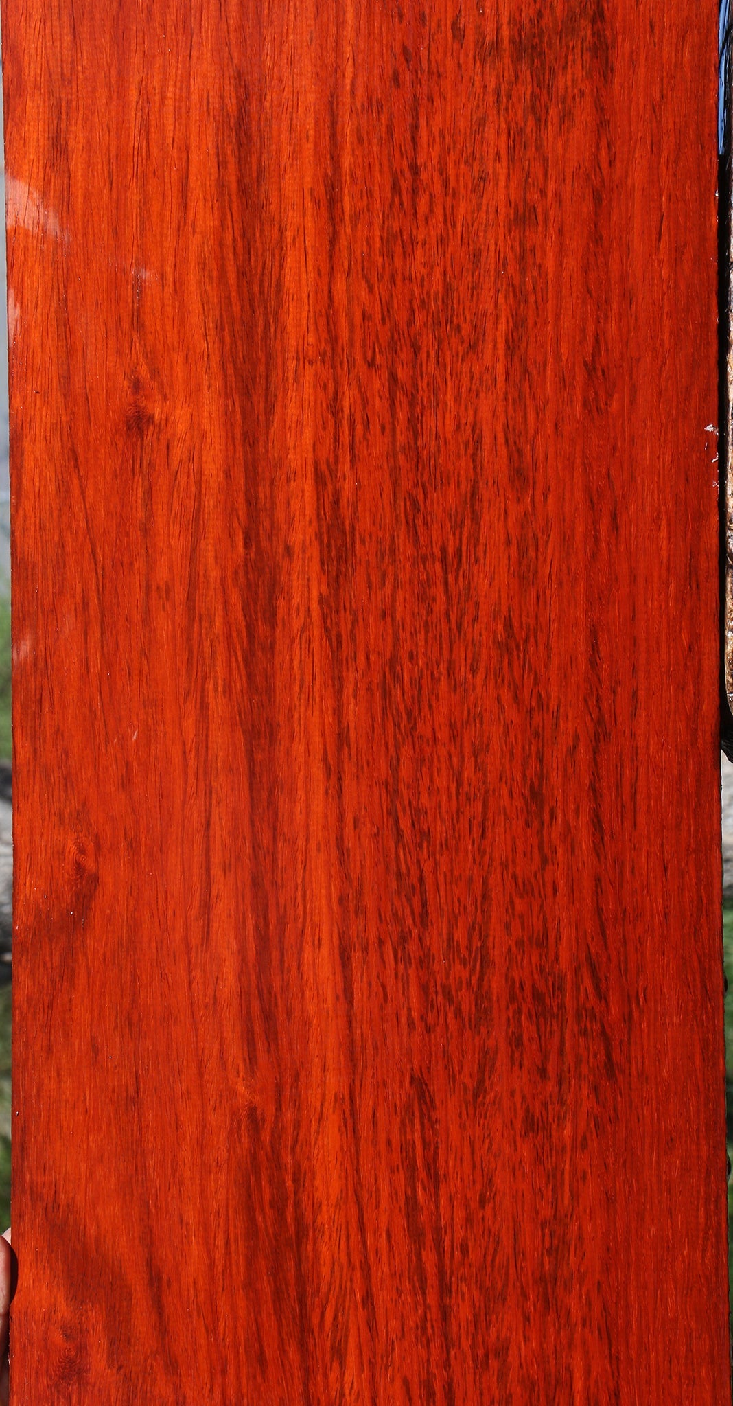 Extra Fancy Padauk Lumber