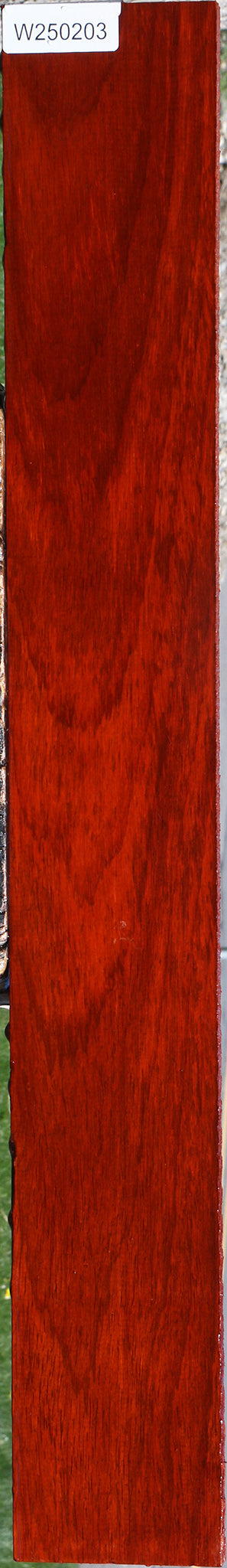 Padauk Lumber