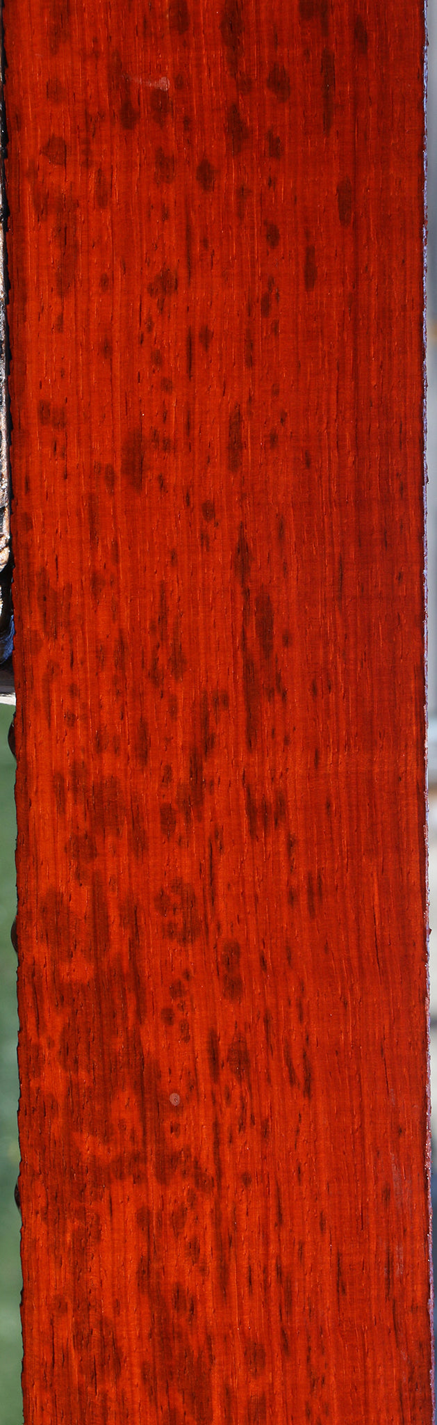 Extra Fancy Padauk Lumber